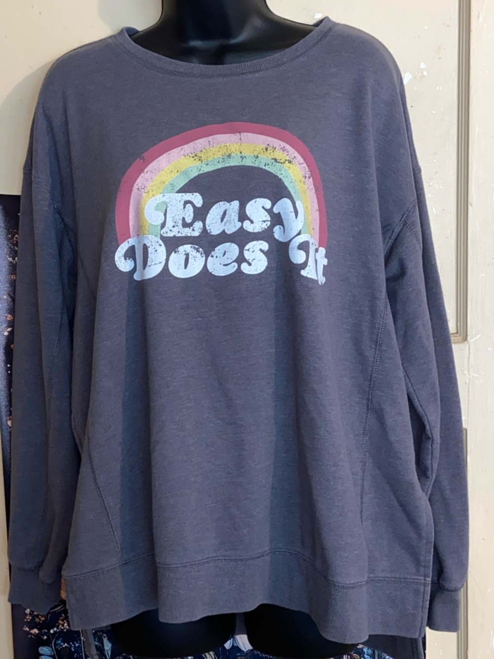WILDFOX EASY DOES IT Gray Rainbow Graphic Sweatshirt EUC